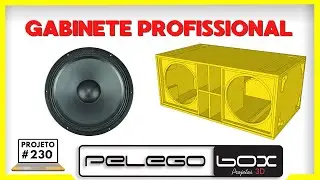 #230 PROJETO PERSONALIZADO PELEGO BOX PARA 2X 18