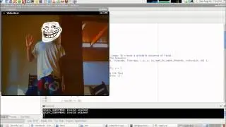 OpenCV: Realtime Head Tracking (TrollVersion)
