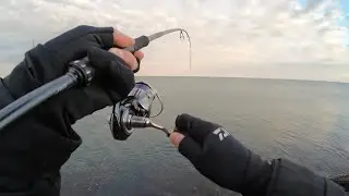 【新潟】真冬の青物釣行【釣り】