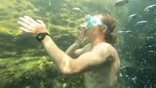 TEXAS CLIFF JUMPING ADVENTURE (Canyon Lake, Jacob's Well, & San Marcos)