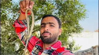 Pranked mom with a fake snake 🐍 😳|| vlog day 203 || 