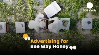 Advertising for Bee Way Honey 🍯 | DOT MEDIA 🔵