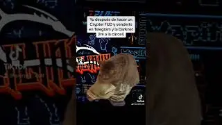 Darknet Money