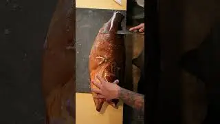 Pulizia cernia - Azabu 10