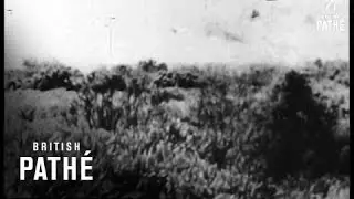 Missile Mishaps (1958)