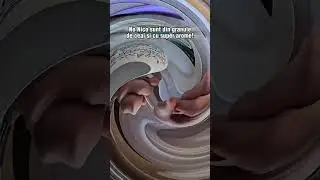 Experienta unica si fara dependenta!