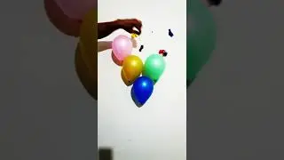 Balloon Pops  ASMR 💥 #shortvideo #ballons #asmr #asmrballoon #asmrsounds #balloonspop
