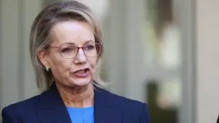 Coalition must push for &lsquo;more realistic&rsquo; emissions targets than Labor