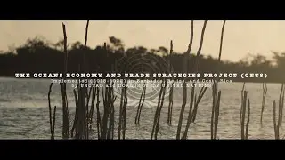 Evidence-based and policy coherent Oceans Economy and Trade Strategies