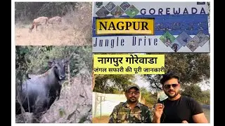 GOREWADA JUNGLE SAFARI की पूरी जानकारी | INDIAS LARGEST ZOO JUNGLE SAFARI | NAGPUR GOREWADA JUNGLE ।
