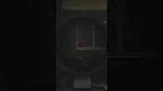 I Got Pushed by Shturman #tarkovshorts #escapefromtarkov