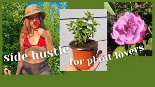 how to make money selling plants 🌱 make money online shipping live plants | herb / plant Etsy shop