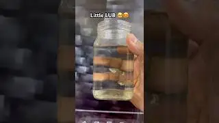❤️ #arowana  #aquarium #fishkeeping #aquascape #viral #fishshorts #trending #guppyfish #breeding #og
