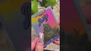 ASMR SLUGGERS HIT 5PK