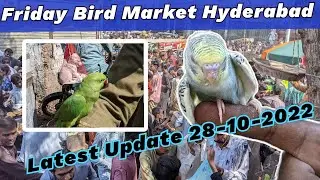 hyderabad birds market | Friday Bird Market Hyderabad | exotic bird market | Latest 28-10-2022