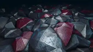 exp 001