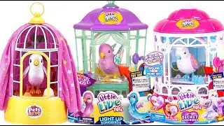 Magic Unboxing! ZURU Peek-a-Roo Polly & Little Live Pets Birds Emerge!​Surprise!