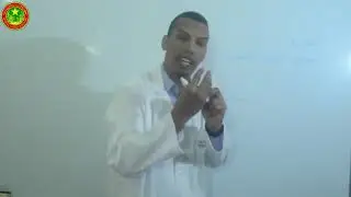 الفلسفة - المنهجية الجديدة
