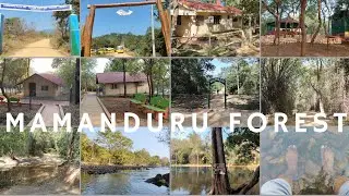 Mamanduru Forest and River near Renigunta and Tirupati. #mamanduruforest #tirupati #explore #nature 