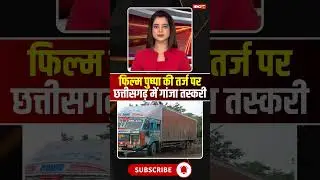 फिल्म पुष्पा की तर्ज पर छत्तीसगढ़ में गांजा तस्करी #cgnews #Ganja #pushpa #viralnews #viralvideo