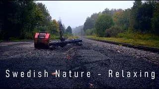 GoPro Hero 8 | Relaxing Nature in 4K
