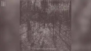 Animus Mortis - Thresholds of Insanity (Full compilation HQ)