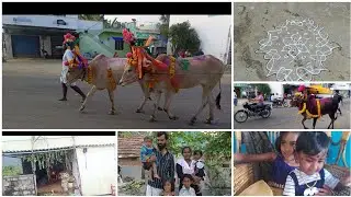  எங்க கிராமத்து பொங்கல் இப்படிதான் போச்சு 🐄🌾🌅#kavipriya445 #villagepongal #tamilvideo #villagevolg 