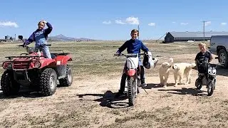 WHY OUR KIDS LOVE LIVING ON A FARM!