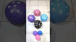 Wow, Popping Colorful Balloons is Very Satisfying (7) #asmr #funny #poppingballoon
