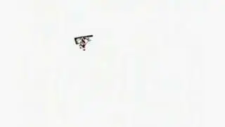 Flown