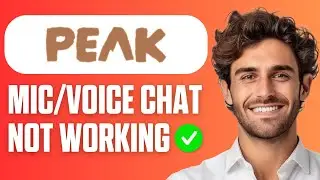 How to Fix Peak Mic/Voice Chat Not Working (Full Guide 2026)