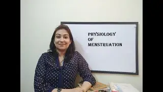 Physiology of menstruation