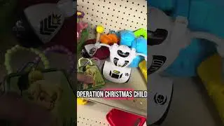 Lighthouse Thrift Store, Brandon, Florida, Part 2