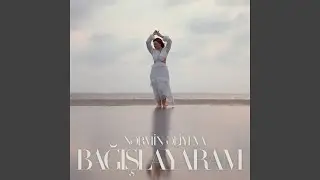 Bağışlayaram