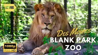 Iowa Travel Guide: Is Blank Park Zoo Des Moines Iowa&rsquo;s Best Attraction? 🐾