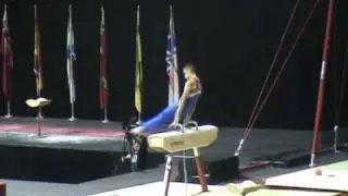 2010 Gymnix Marco Mayr Pommel Horse