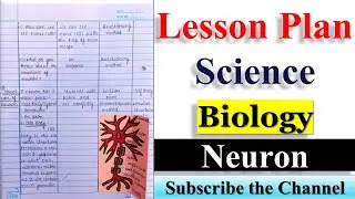 B.Ed. Biology Lesson Plan  | Lesson Plan Biology Lesson Plan Science | Topic - Neuron / Nerve Cell |