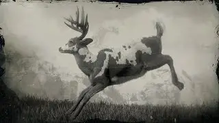 Red Dead Redemption 2: Legendary Buck [ENGLISH]