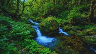 Healing Peace & Deep Rest 🌊 Natural Forest River Sounds for Sleep & Meditation