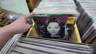 NEW ARRIVALS BINS - Record Collectors Paradise - August 15, 2025