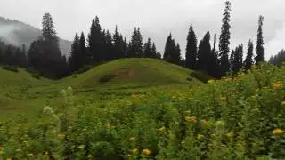 Zama swat umar zaib