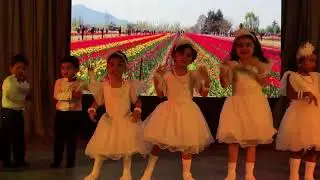 LITTLE DAFFODILS SCHOOL KOZHIKODE  ANNUAL DAY CELEBRATION