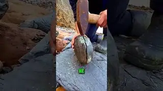Скрытое сокровище найдено внутри простого камня! 💰🪨 #шорты