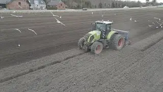 De første hestebønner i 2023 bliver sået med kulti seederen 👍