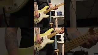 Cynical @blink182 #basscover #pbass #ampeg #sansamp #tech21 #liquifer