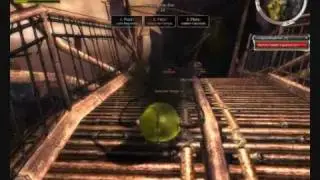 Guild Wars: Rollk&auml;fer-Rennen