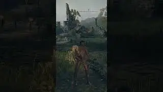 ELDEN RING RANDOMIZERS ARE WILD
