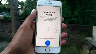 How to Choose Home Button Haptic in Any iphone