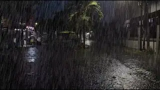 Gentle Rainfall and Thunder Sounds to Help You Fall Asleep, Relax Anxiety, and Ease Stress