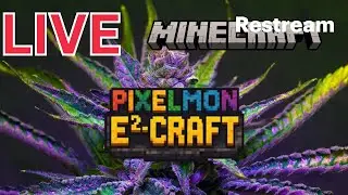 CurseForge Finally Approved!! | Pixelmon E2Craft | 420 Friendly (18+)